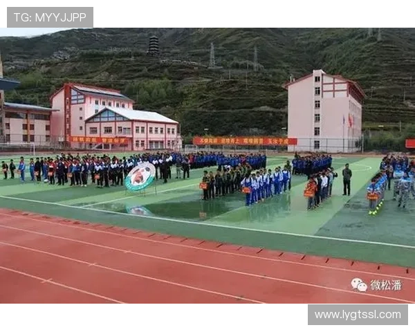 西安足球队在锦标赛中的团队协作表现分析与评价